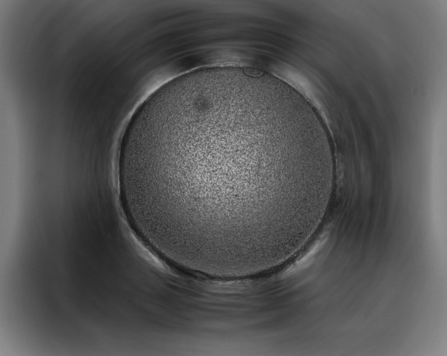 X0000088230843200705221823