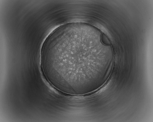 X0000088230844200705221823