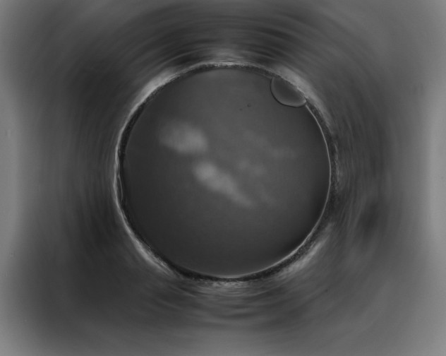 X0000088230845200705221823