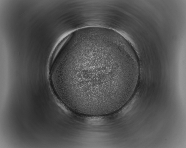 X0000088230846200705221823