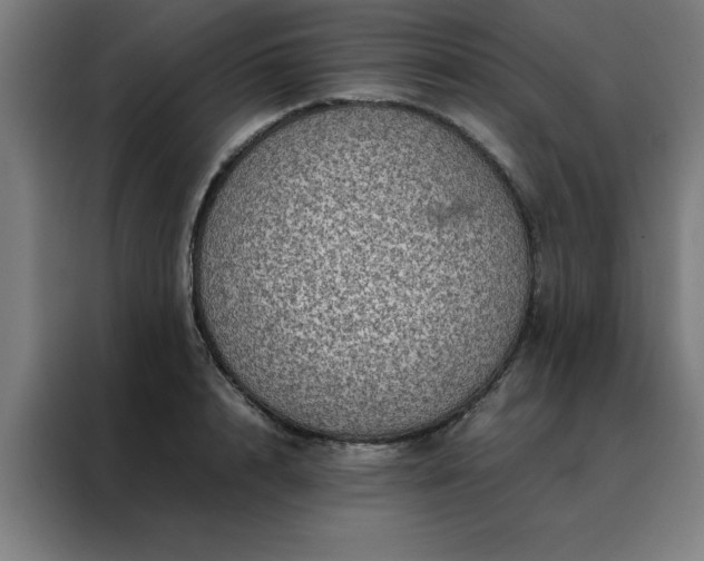 X0000088230848200705221823