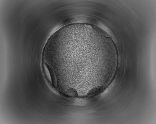 X0000088230850200705221823