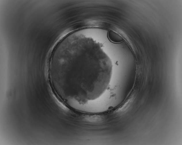 X0000088230851200705221823