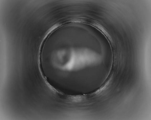 X0000088230853200705221823