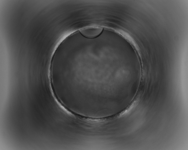 X0000088230855200705221823