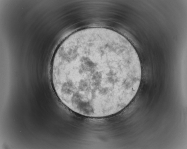 X0000088230856200705221823