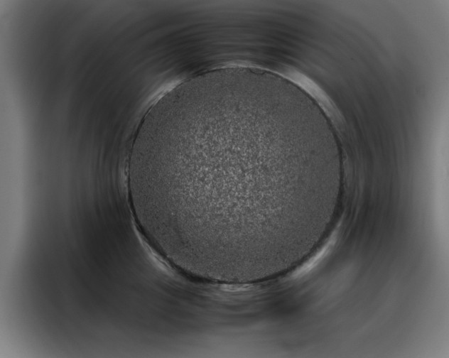 X0000088230857200705221823