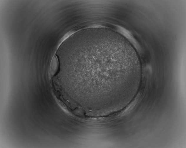 X0000088230858200705221823