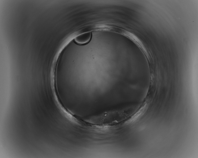 X0000088230859200705221823