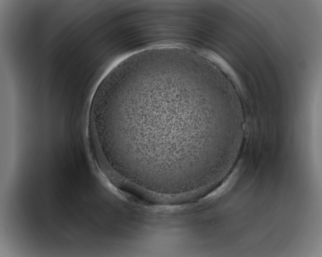 X0000088230860200705221823