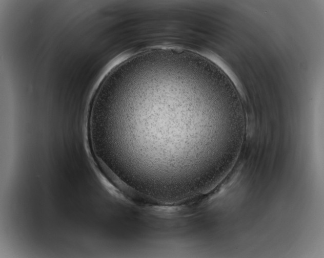 X0000088230861200705221823