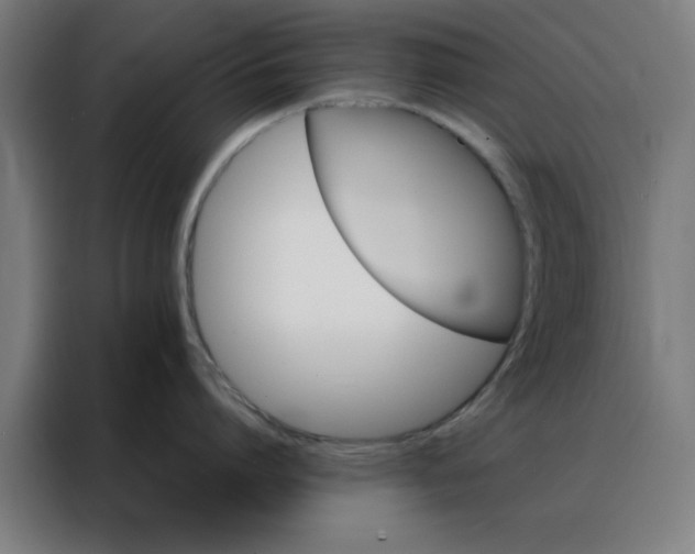 X0000088230864200705221823