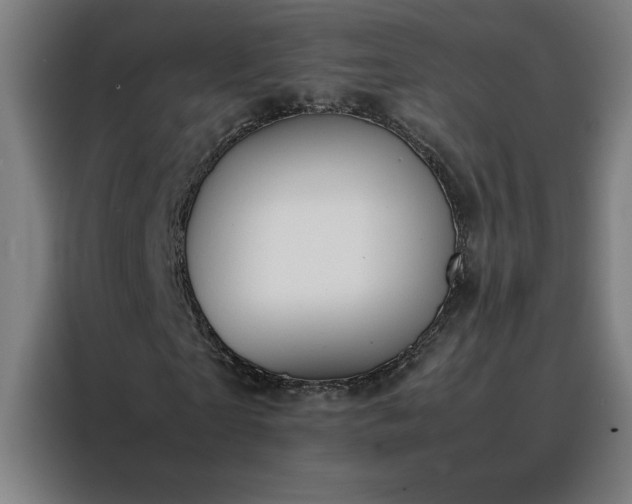 X0000088230865200705221822