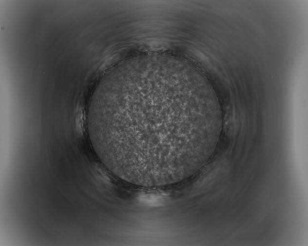 X0000088230866200705221822