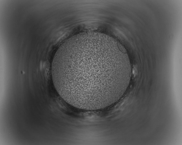 X0000088230867200705221822