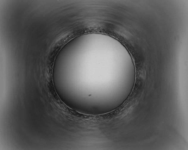 X0000088230869200705221822