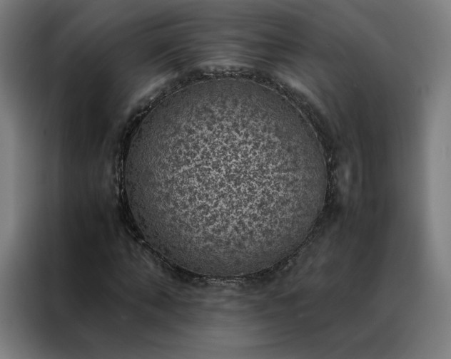 X0000088230870200705221822