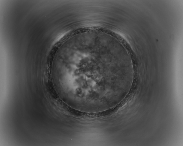 X0000088230871200705221822