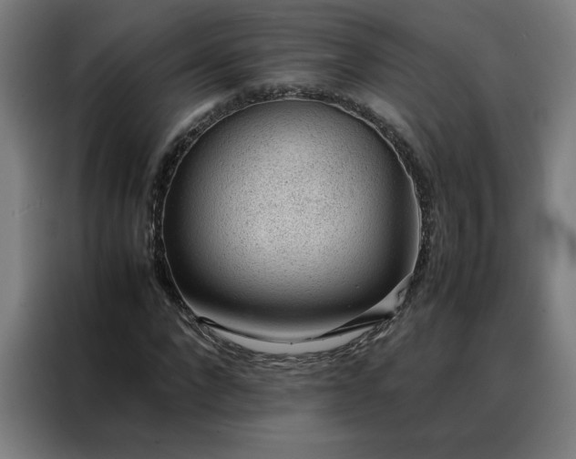 X0000088230872200705221822
