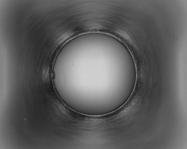 X0000088230873200705221822