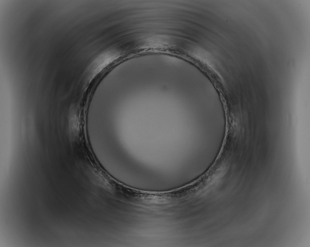 X0000088230874200705221822