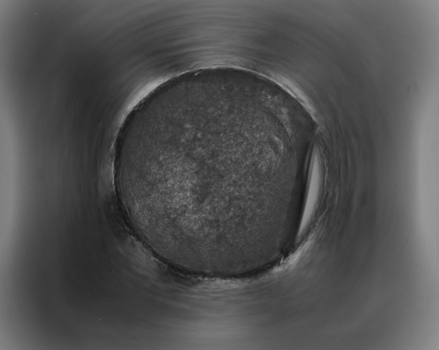 X0000088230877200705221822