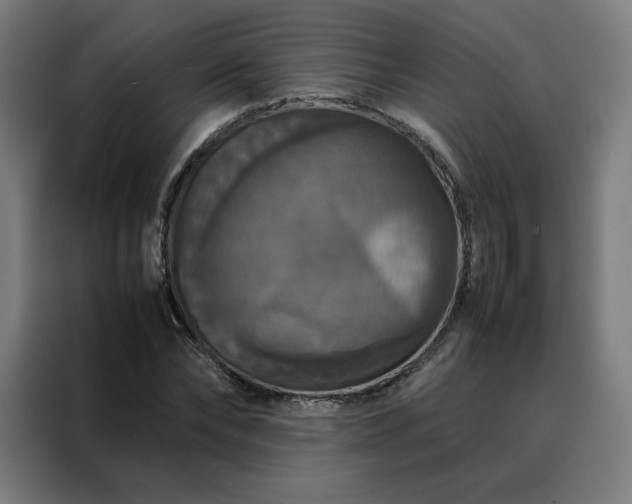 X0000088230878200705221822
