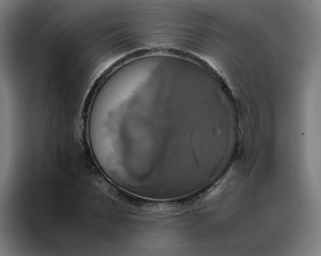 X0000088230879200705221822