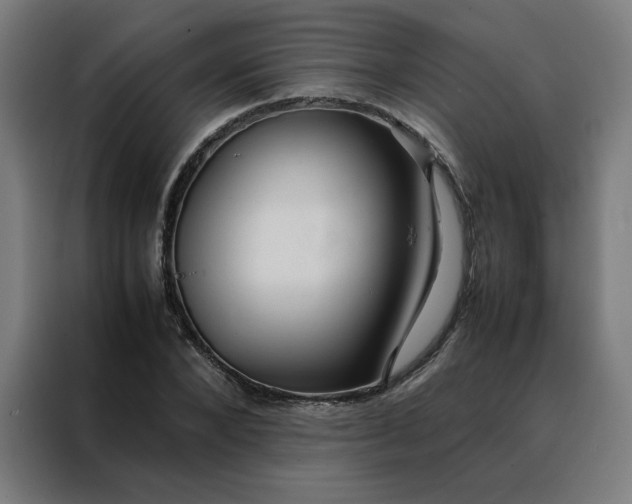 X0000088230880200705221822