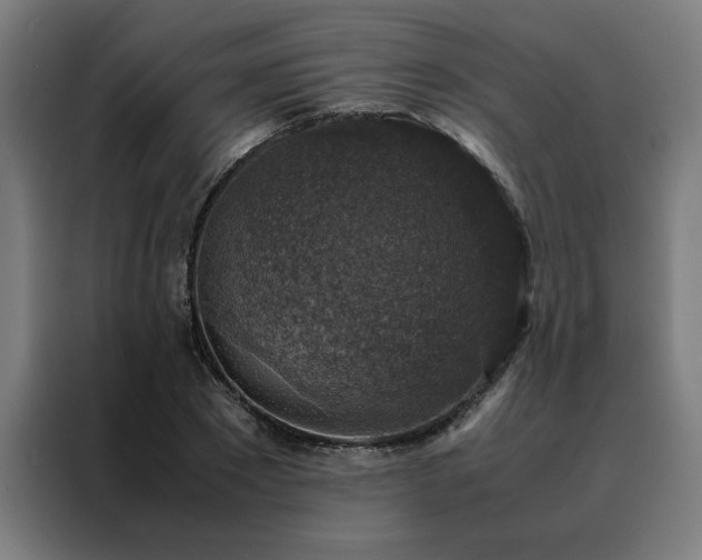 X0000088230881200705221822