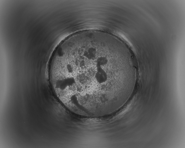 X0000088230883200705221822