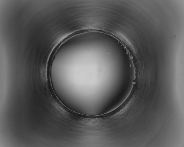 X0000088230884200705221822