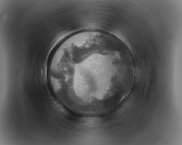 X0000088230886200705221822