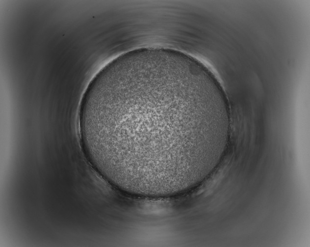 X0000088230887200705221822