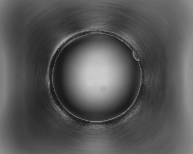 X0000088230888200705221822