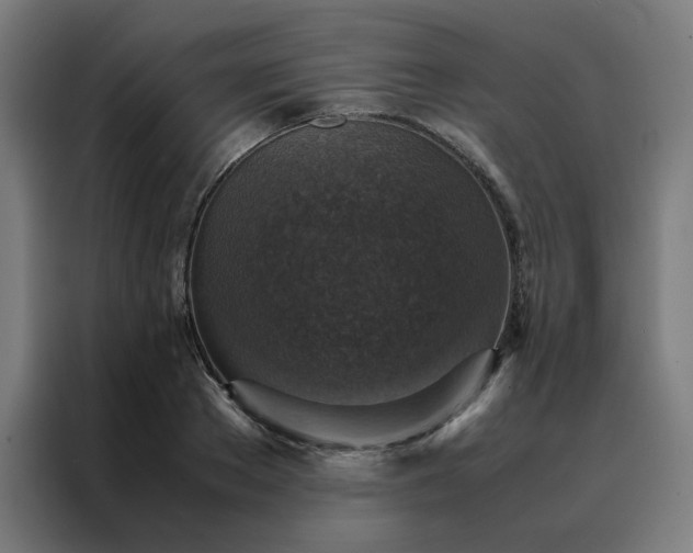 X0000088230889200705221822