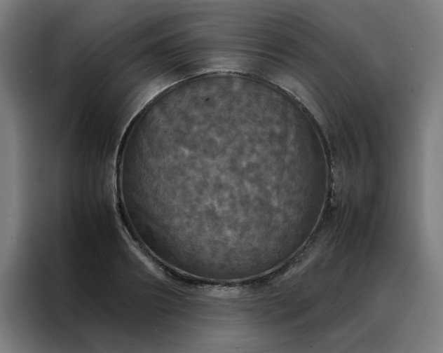 X0000088230890200705221822