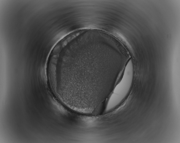 X0000088230892200705221822