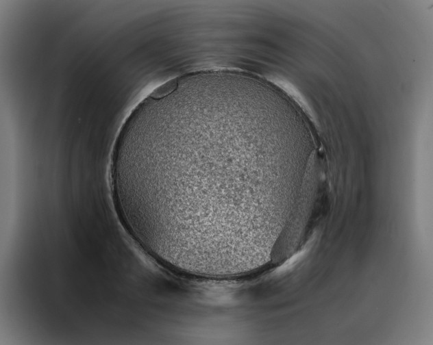 X0000088230893200705221822
