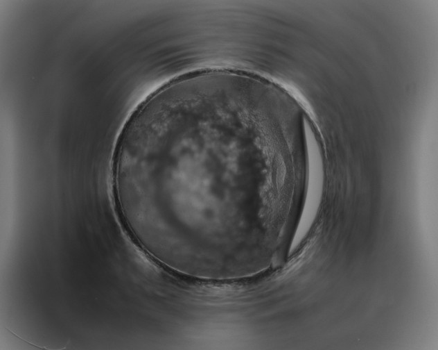 X0000088230895200705221822