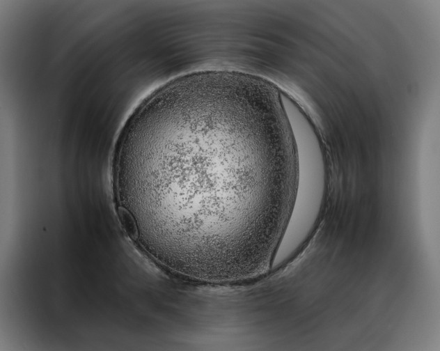 X0000088230896200705221822