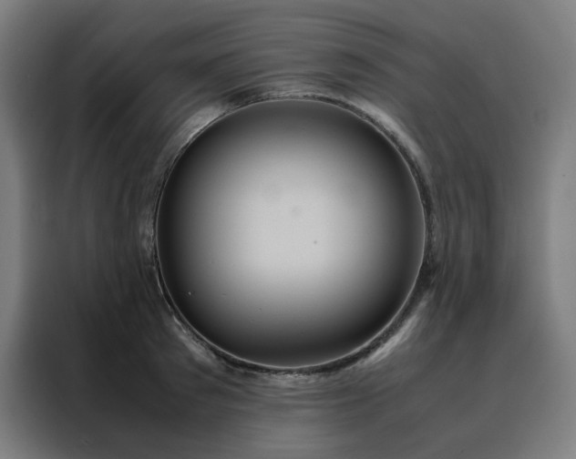 X0000088230897200705221822
