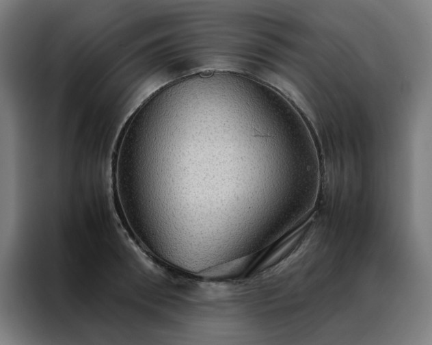 X0000088230898200705221822