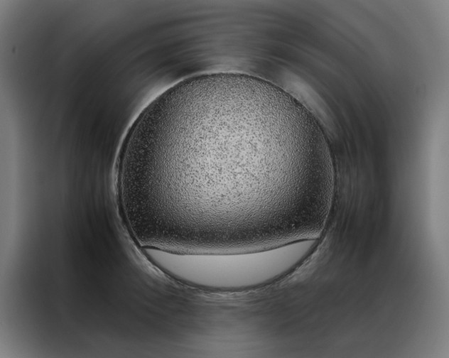 X0000088230900200705221822