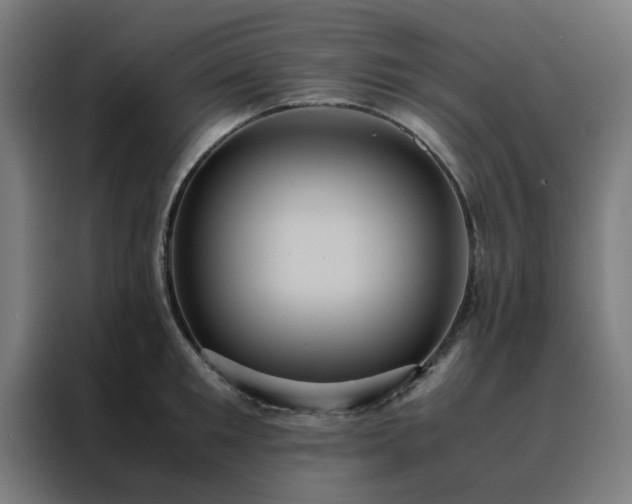 X0000088230901200705221822