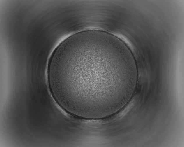 X0000088230902200705221822
