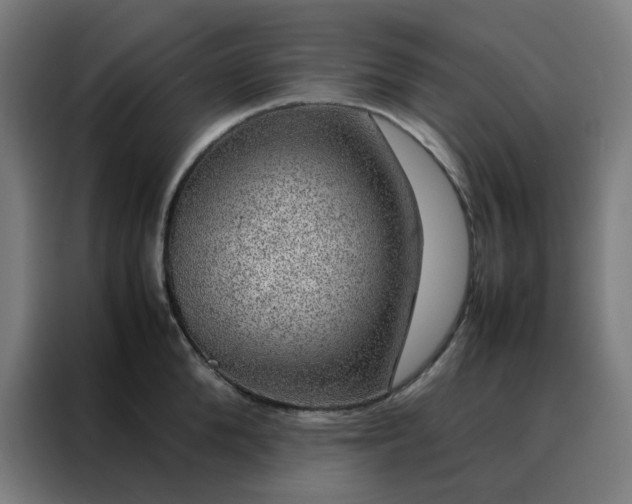 X0000088230904200705221822