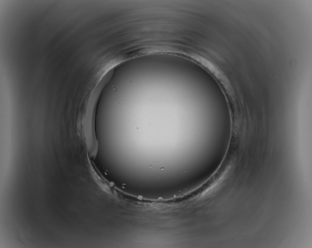 X0000088230905200705221822