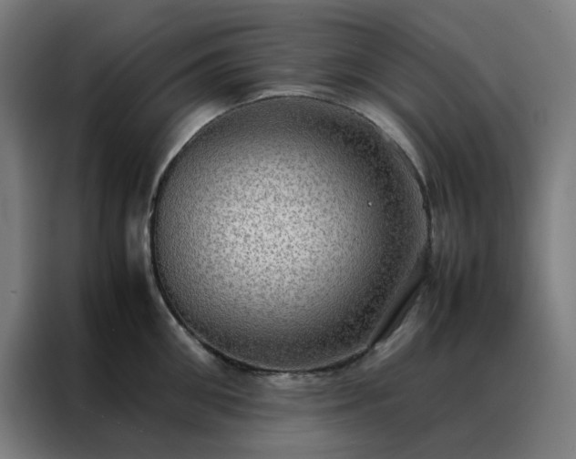 X0000088230906200705221822