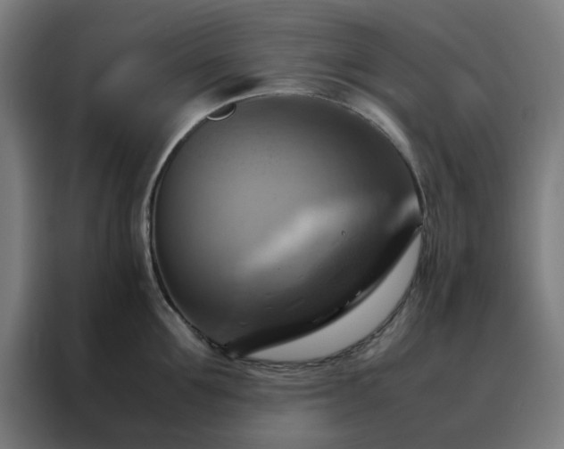 X0000088230907200705221822